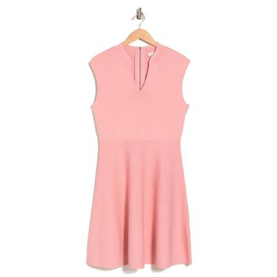 Ted Baker Size 4 (US size 10) Lliliee Sleeveless Fit & Flare Pink Dress NWT