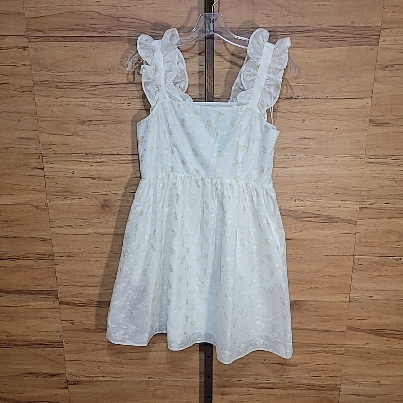 English Factory Size S Ivory Floral Embroidery Organza Mini Dress NWT