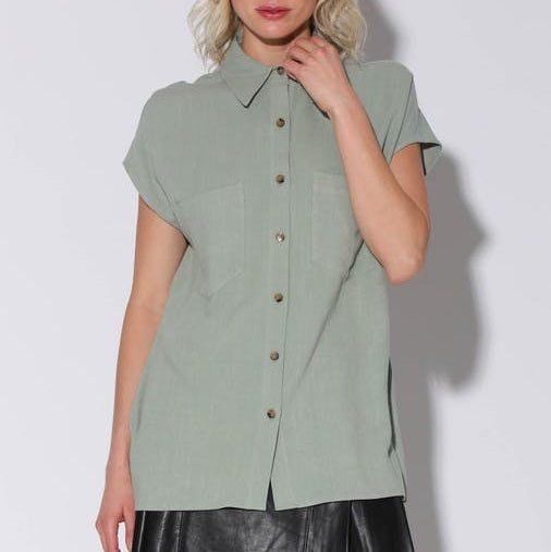 Walter Baker Size L Green Button Down Sylvia Top NWT